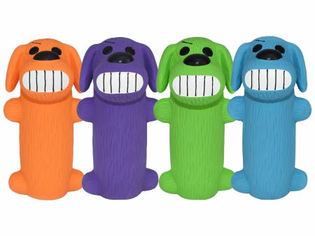 Multipet Minipet LOOfA(R) Latex Dog Chew Toy Assorted Colors 5  Online Hot Sale