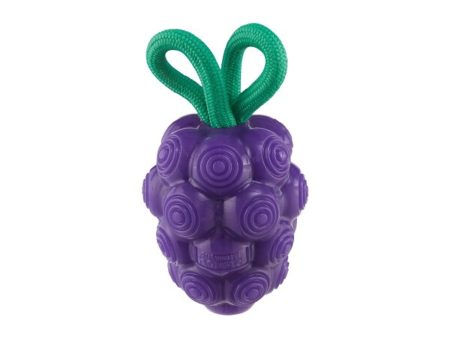 Planet Dog Dental Grapes Dog Chew Toy Purple Medium For Cheap