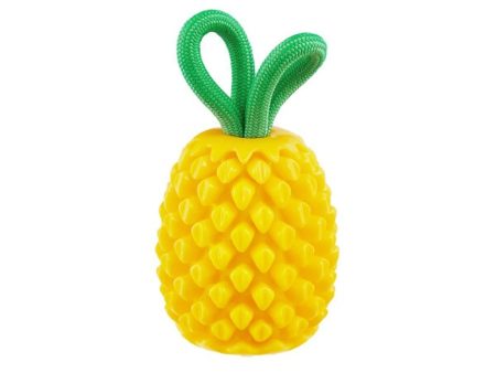 Planet Dog Dental Pineapple Dog Chew Toy Yellow Fashion