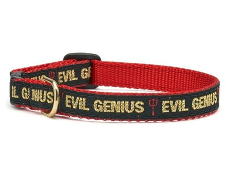 Up Country Evil Genius Cat Collar Discount