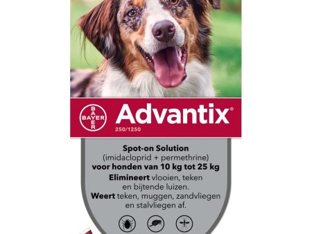 Advantix 250 1250 Spot-On Chien 10-25kg Hot on Sale