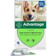 Advantage 400 Spot-On Chien 25-40 Kg Online