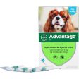 Advantage 100 Spot-On Chien 4-10 Kg Sale