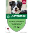 Advantage 250 Spot-On Chien 10-25 Kg Hot on Sale