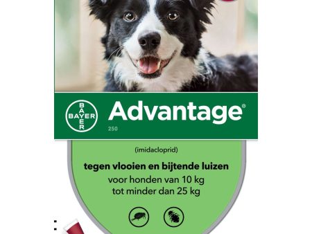 Advantage 250 Spot-On Chien 10-25 Kg Hot on Sale