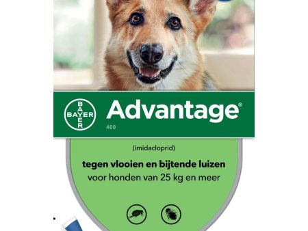 Advantage 400 Spot-On Chien 25-40 Kg Online