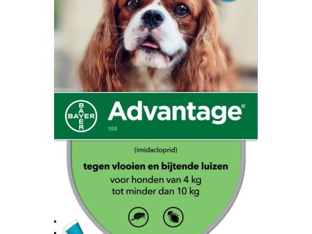 Advantage 100 Spot-On Chien 4-10 Kg Sale