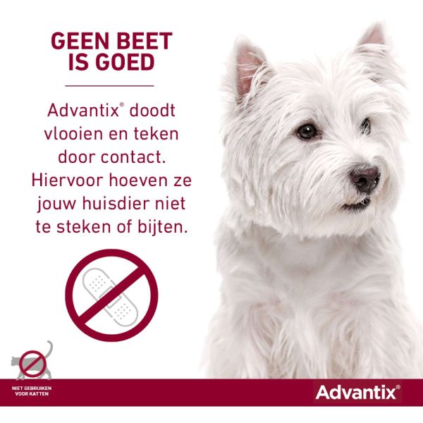 Advantix 400 2000 Spot-On Chien 25-40kg For Sale