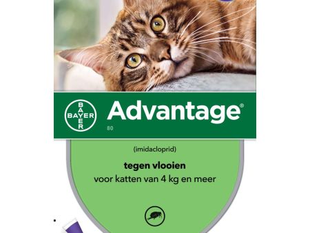 Advantage 80 Spot-On Chat 4-8kg Cheap