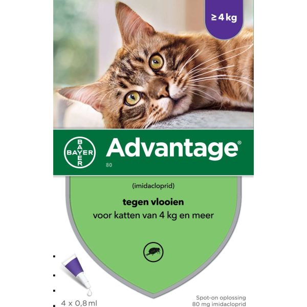 Advantage 80 Spot-On Chat 4-8kg Cheap