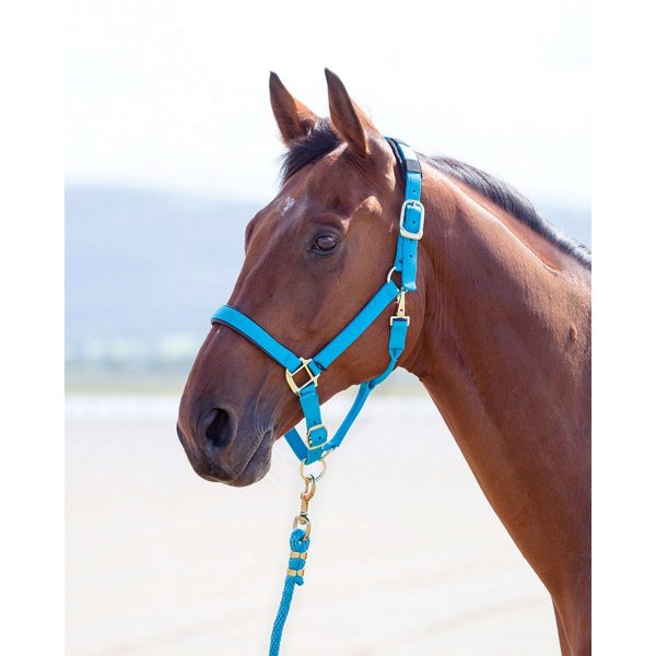 Shires Halster Topaz Nylon Blauw Cheap