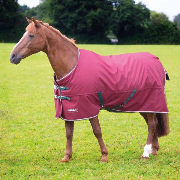 Tempest Original Winterdeken Turnout 200g Maroon Discount