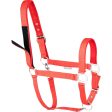 Waldhausen Halster Safety Rood Online now