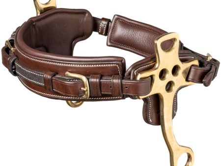 Trust Neusriem Hackamore 16cm Bruin Goud Online now